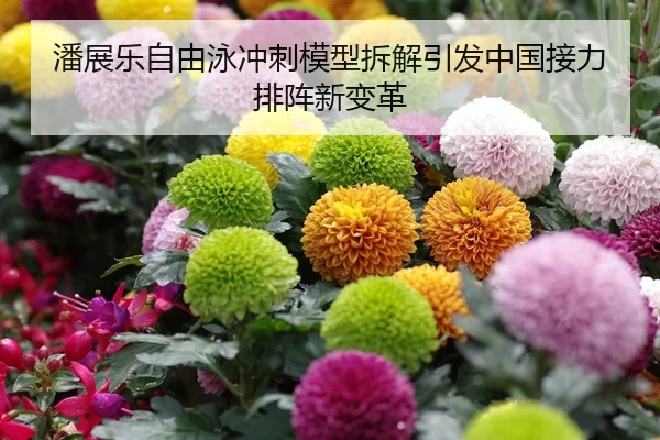 潘展乐自由泳冲刺模型拆解引发中国接力排阵新变革
