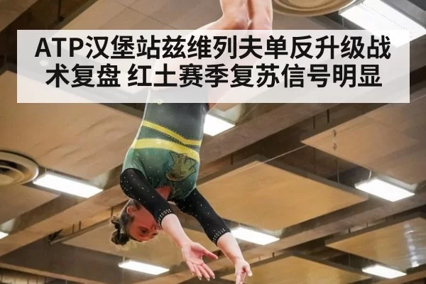 ATP汉堡站兹维列夫单反升级战术复盘 红土赛季复苏信号明显